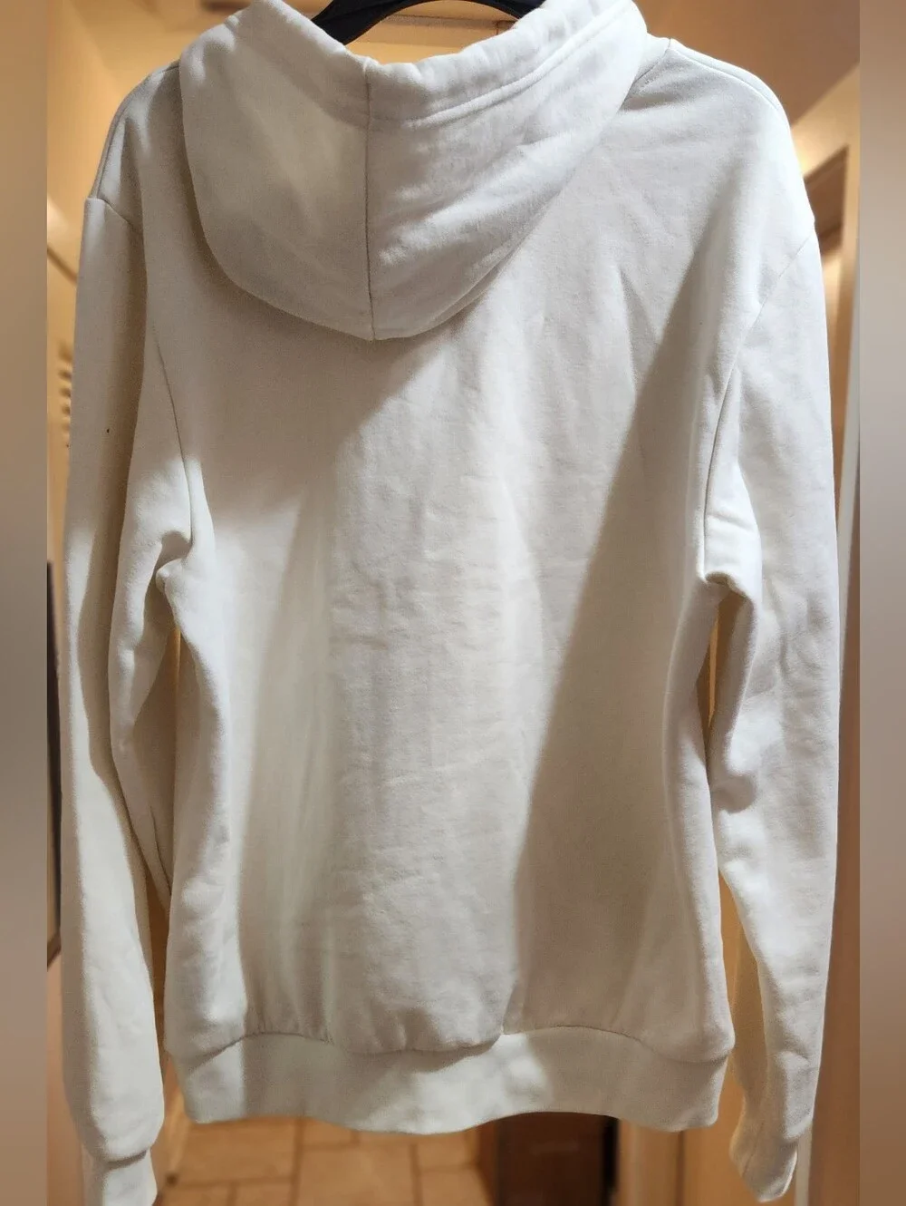 NWT The Northface Mens Evolution Hoodie